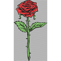 Valentine's Day-QRJ  872